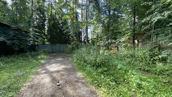 Продам участок 4 100 соток, ИЖС, Устье С и Ко снт, Дубна г, 20 км от города