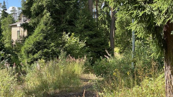Продам участок 4 100 соток, ИЖС, Устье С и Ко снт, Дубна г, 20 км от города
