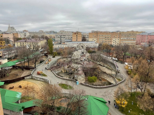 Сдам однокомнатную (1-комн.) квартиру, Зоологическая ул, 12к2, Москва г