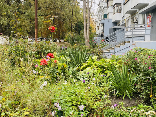 Продам трехкомнатную (3-комн.) квартиру, Гагринская ул, 9/2, Ростов-на-Дону г