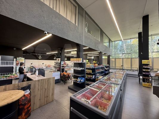 Сдам коммерческое помещение 262,2 м2, Флотская ул, 9, Калининград г