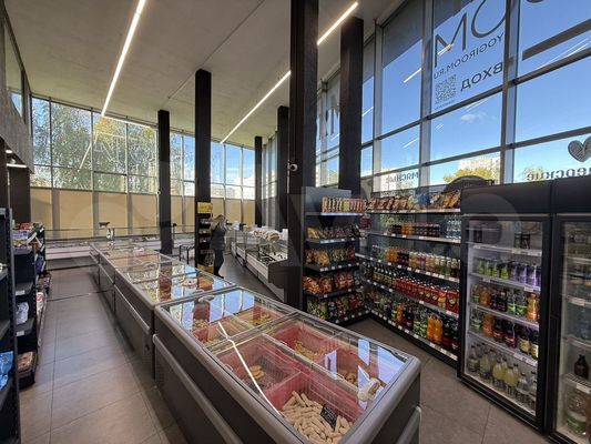 Сдам коммерческое помещение 262,2 м2, Флотская ул, 9, Калининград г