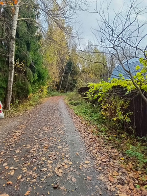 Продам дом, СНТ Лесное тер, Мошницы д, 0 км от города