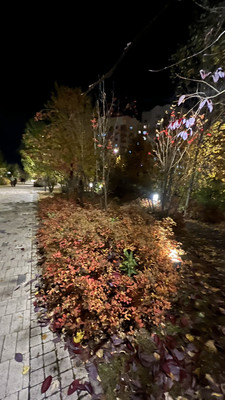 Продам однокомнатную (1-комн.) квартиру, Абсалямова ул, 28, Казань г