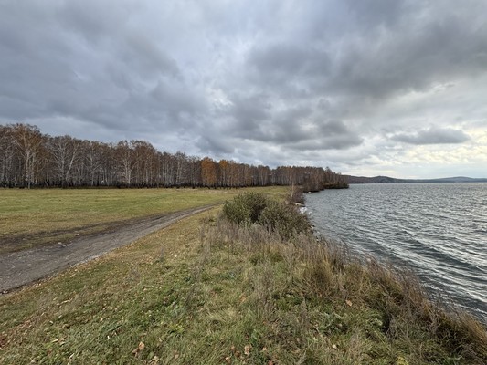 Продам землю для коммерческого использования 219,43 соток, ИЖС, Пролетарская ул, 36а, Иткуль с