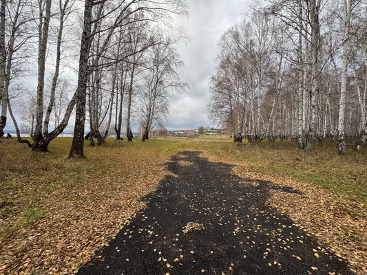 Продам землю для коммерческого использования 219,43 соток, ИЖС, Пролетарская ул, 36а, Иткуль с