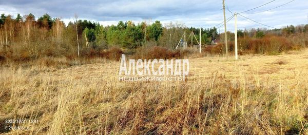 Продам участок 23 соток, ИЖС, Центральная ул, Шушино п, 160 км от города