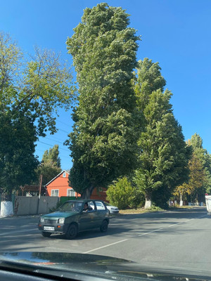 Продам трехкомнатную (3-комн.) квартиру, Азовская ул, 14, Армавир г