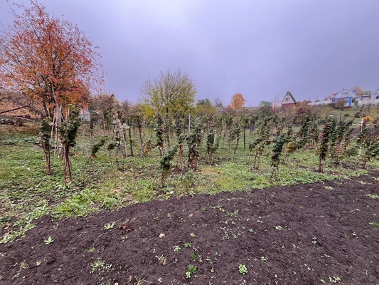 Продам дом, Заводская ул, 8, Новоселки с, 30 км от города