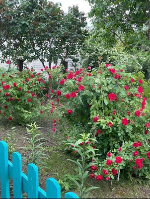 Продам дом, Заводская ул, 8, Новоселки с, 30 км от города