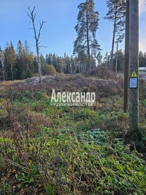 Продам участок 10 соток, ИЖС, Заводская ул, Лахденпохья г, 220 км от города