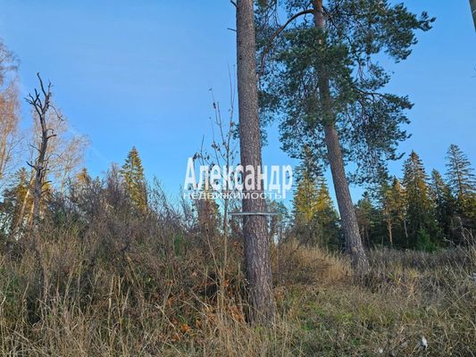 Продам участок 10 соток, ИЖС, Заводская ул, Лахденпохья г, 220 км от города