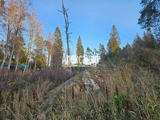 Продам участок 10 соток, ИЖС, Заводская ул, Лахденпохья г, 220 км от города