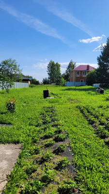 Продам участок 16,2 соток, ИЖС, Березовая ул, 3, Калинино д, 0 км от города