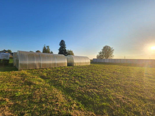 Продам дом, 28, Большие Сяглицы д, 0 км от города