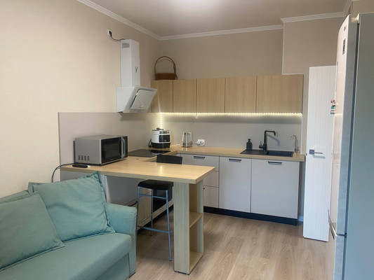 Сдам двухкомнатную (2-комн.) квартиру, Грибалёвой ул, 9к1, Санкт-Петербург г