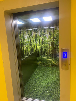 Сдам двухкомнатную (2-комн.) квартиру, Грибалёвой ул, 9к1, Санкт-Петербург г