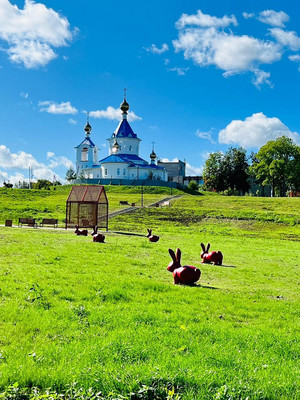 Продам трехкомнатную (3-комн.) квартиру, Новая ул, 5, Оржицы д