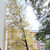 Продам двухкомнатную (2-комн.) квартиру, Каменноостровский пр-кт, 9/2, Санкт-Петербург г