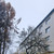 Продам двухкомнатную (2-комн.) квартиру, Заводская ул, 30, Некрасовский рп
