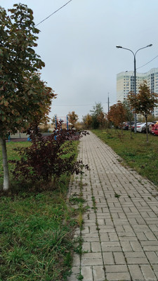 Продам однокомнатную (1-комн.) квартиру, Южнодомодедовская (Южный мкр.) ул, 17, Домодедово г