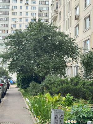 Продам многокомнатную квартиру, Васильцовский Стан ул, 5к2, Москва г