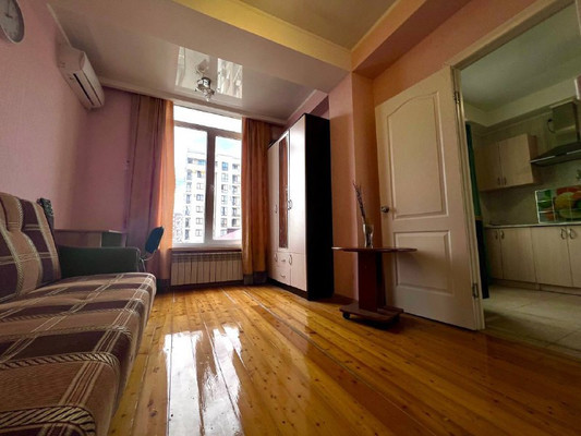 Продам однокомнатную (1-комн.) квартиру, Пасечная (Победитель снт) ул, 45Г, Сочи г