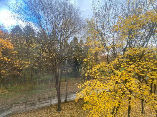 Продам трехкомнатную (3-комн.) квартиру, санаторий Русское поле ул, 1, Гришенки д