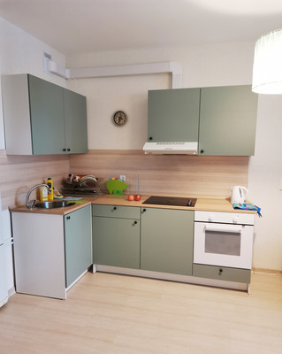Продам однокомнатную (1-комн.) квартиру, Космонавтов пр-кт, 102к1, Санкт-Петербург г