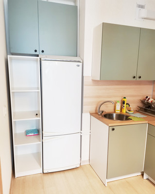 Продам однокомнатную (1-комн.) квартиру, Космонавтов пр-кт, 102к1, Санкт-Петербург г