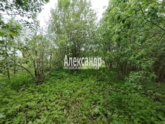 Продам участок 4 соток, СНТ, поселок Надежда ВМА им. Кирова, СНТ Надежда ВМА им.Кирова тер, 1 км от города