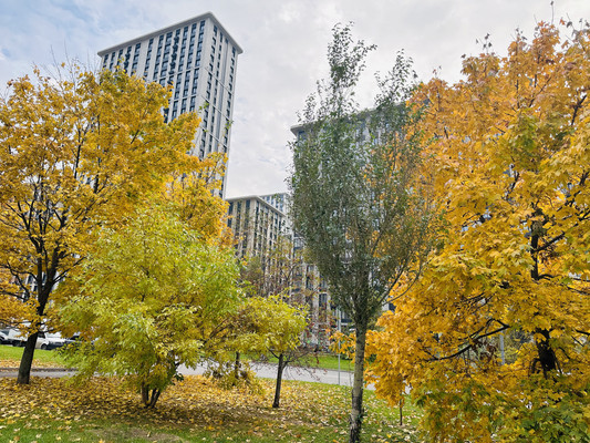 Продам трехкомнатную (3-комн.) квартиру, Винницкая ул, 8к4, Москва г