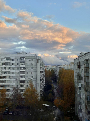 Продам однокомнатную (1-комн.) квартиру, Бородина ул, 17, Пенза г