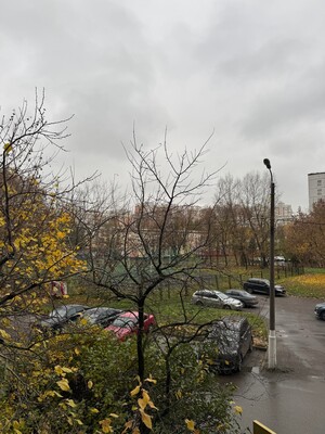 Продам трехкомнатную (3-комн.) квартиру, Домодедовская ул, 24к1, Москва г