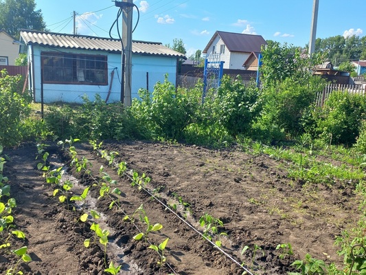 Продам дачу, Весна тер. СНТ, 8а, Новосибирск г, 1 км от города