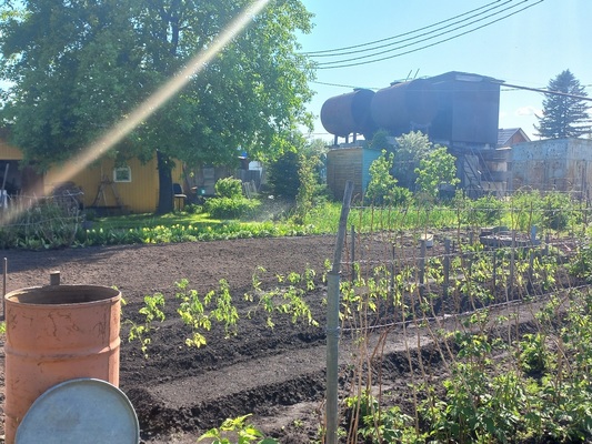 Продам дачу, Весна тер. СНТ, 8а, Новосибирск г, 1 км от города