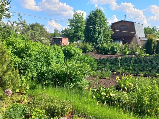 Продам дачу, Весна тер. СНТ, 8а, Новосибирск г, 1 км от города