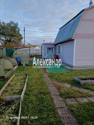 Продам участок 6,21 соток, Садоводство, Нежинская (Маяк тер. СНТ) ул, 12, Беляевский мох массив, 40 км от города