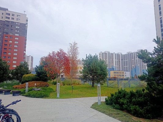 Продам однокомнатную (1-комн.) квартиру, Космонавтов пр-кт, 102к1, Санкт-Петербург г