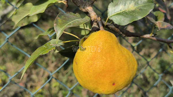 Продам дом, Красноармейская ул, 100, Киевское с, 0 км от города