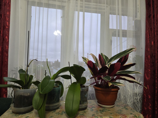 Продам однокомнатную (1-комн.) квартиру, Суворова ул, 12, Йошкар-Ола г
