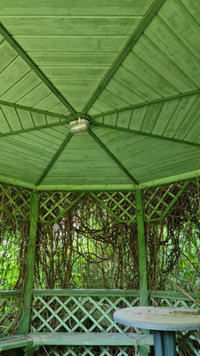 Продам дом, Вереск тер, 67, Картино д, 0 км от города