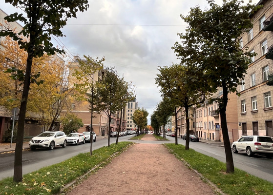 Продам двухкомнатную (2-комн.) квартиру, 16-я В.О. линия, 65, Санкт-Петербург г