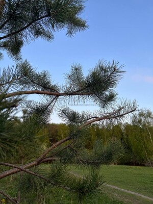 Продам двухкомнатную (2-комн.) квартиру, Генерала Антонова ул, 10, Москва г