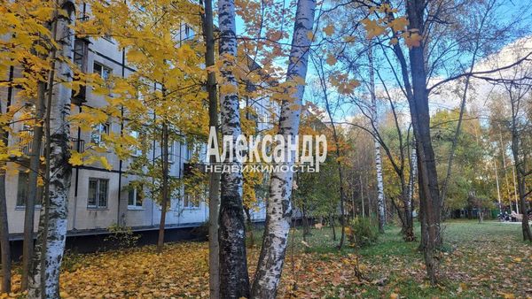 Продам двухкомнатную (2-комн.) квартиру, Карпинского ул, 31к2, Санкт-Петербург г