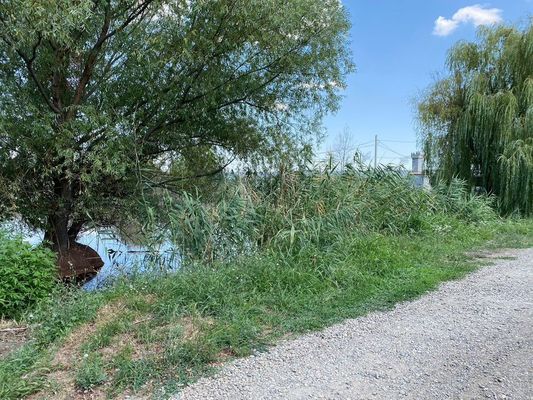 Продам дом, Южная (Тополь снт) ул, 3, Октябрьский х, 0 км от города