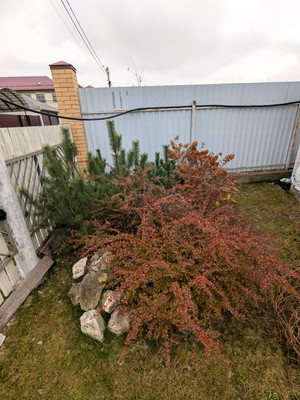 Продам дом, Покров д, 0 км от города