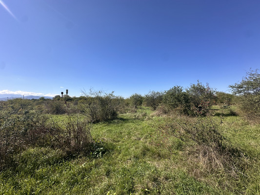 Продам землю для коммерческого использования 2 соток, Фермерское хоз., Южная ул, Нартан с