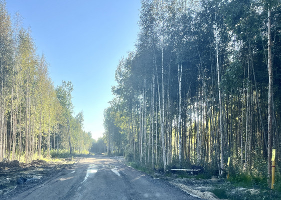 Продам участок 9,5 соток, Фермерское хоз., Гоголя ул, Павловск г, 0 км от города