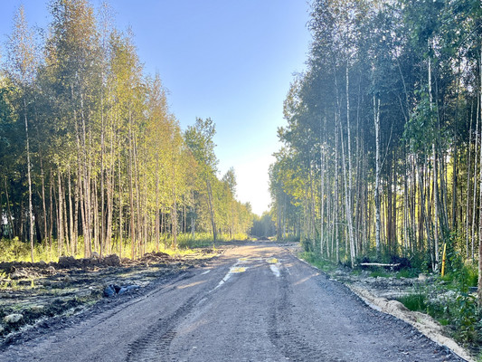 Продам участок 9,5 соток, Фермерское хоз., Гоголя ул, Павловск г, 0 км от города